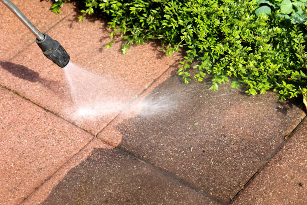  Colwyn, PA Pressure Washing Pros